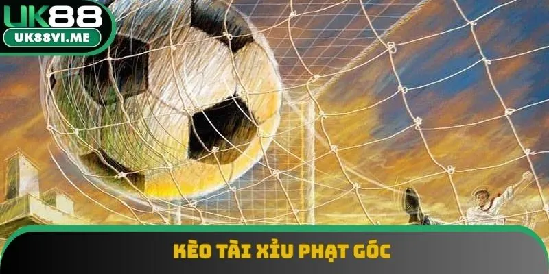 Cược tài xỉu góc mới xuất hiện nhưng đã chiếm trọn được sự yêu thích Cược tài xỉu góc mới xuất hiện nhưng đã chiếm trọn được sự yêu thích