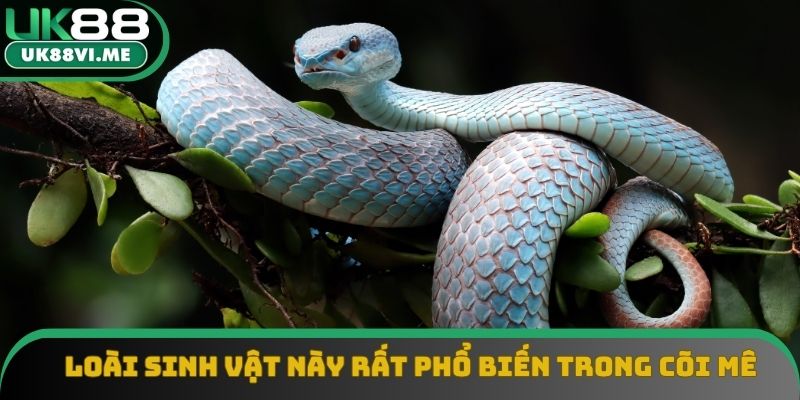 Loài sinh vật này rất phổ biến trong cõi mê Loài sinh vật này rất phổ biến trong cõi mê