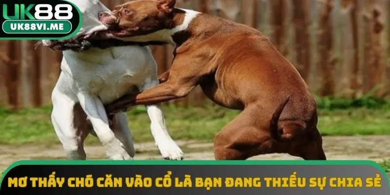 Mơ thấy chó căn vào cổ là bạn đang thiếu sự chia sẻ Mơ thấy chó căn vào cổ là bạn đang thiếu sự chia sẻ